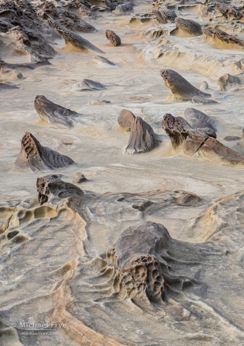 Sandstone formations, Oregon coast, USA