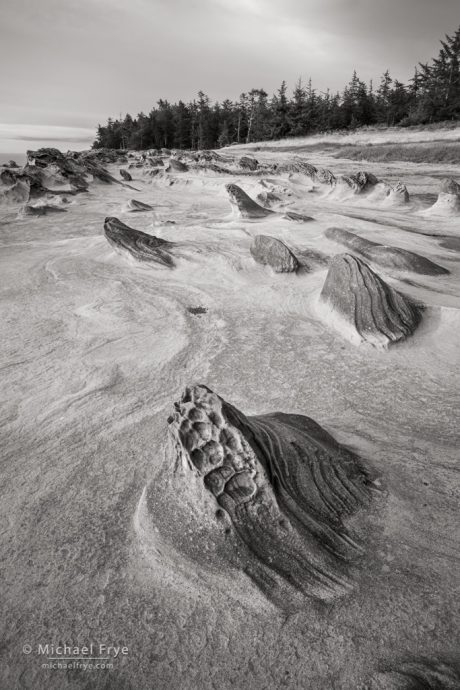 Sandstone formations, Oregon coast, USA