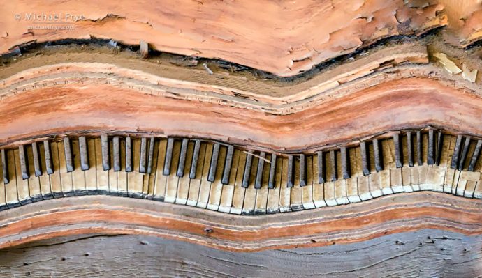 Piano, Bodie SHP, CA, USA