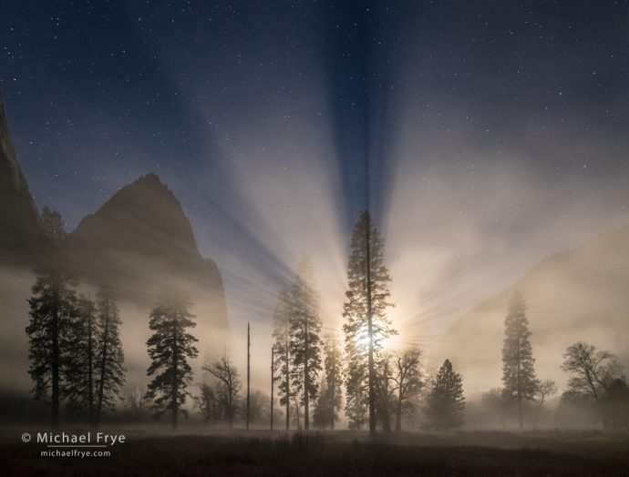 Moon setting on a misty night, El Capitan Meadow, Yosemite NP, CA, USA