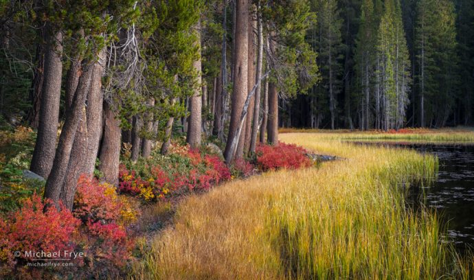 Autumn lakeshore, Yosemite NP, CA, USA