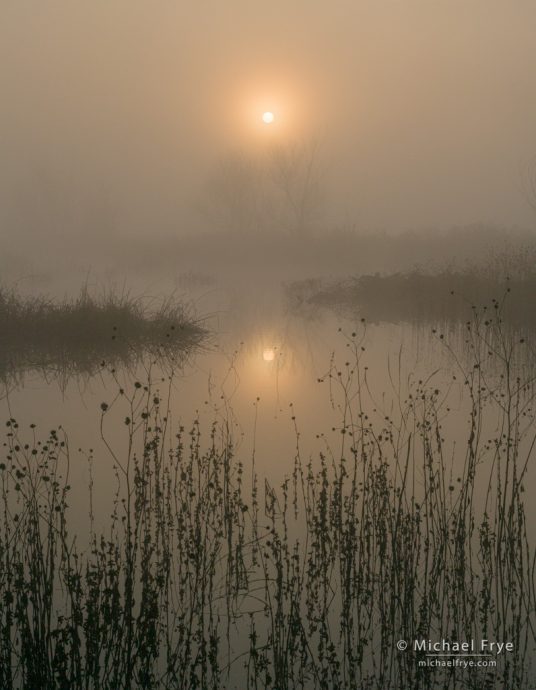 Foggy sunrise, San Joaquin Valley, CA, USA