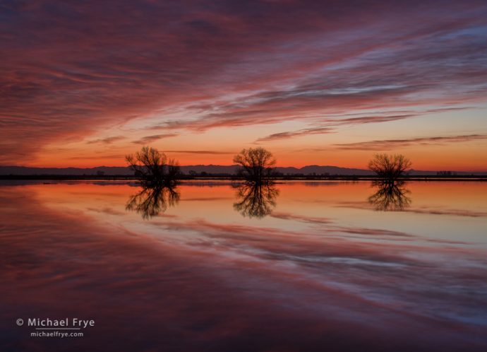 Sunset in a San Joaquin Valley marsh, CA, USA