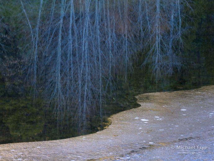 Ice and reflected cottonwoods, Yosemite NP, CA, USA