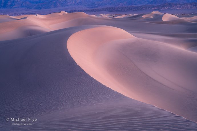 Sand dunes in predawn light, Death Valley NP, CA, USA