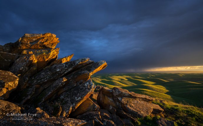 Late-afternoon light in the Sierra Nevada foothills, CA, USA