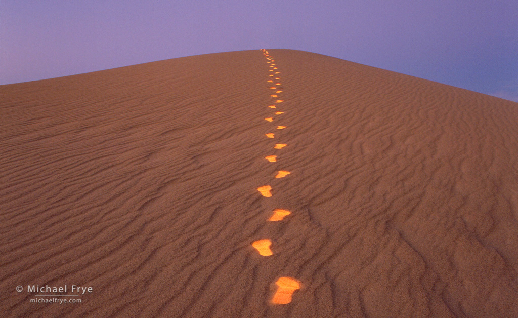 From the Archives: Footprints on Sand Dune