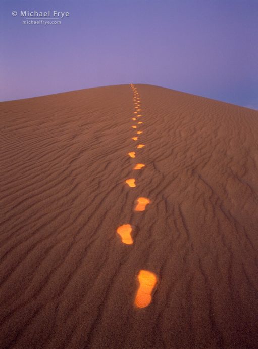 Footprints on sand dune, Death Valley, California