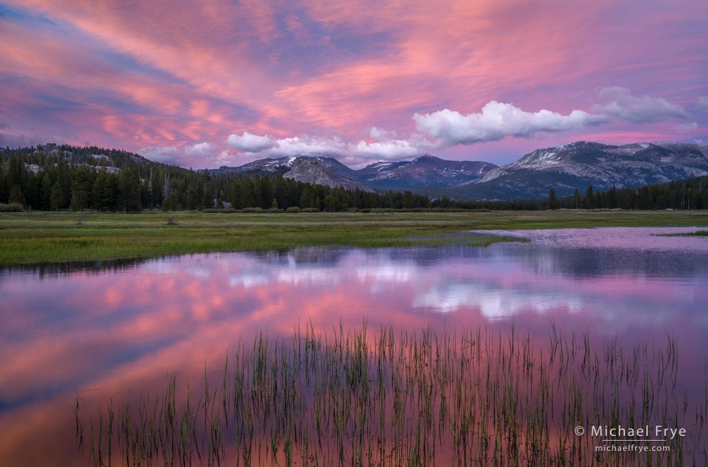 Just Another Summer in the Yosemite High Country
