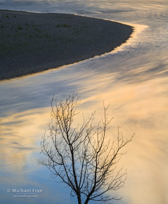 Cottonwood and sandbar along the Green River, Dinosaur National Monument, Colorado, USA