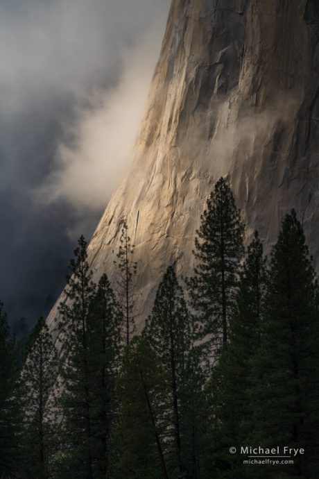 Sunlight hitting the base of El Capitan, Yosemite NP, CA, USA