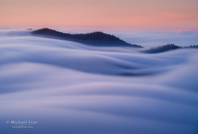 Waves of fog, sunrise, Sierra Nevada foothills, CA, USA