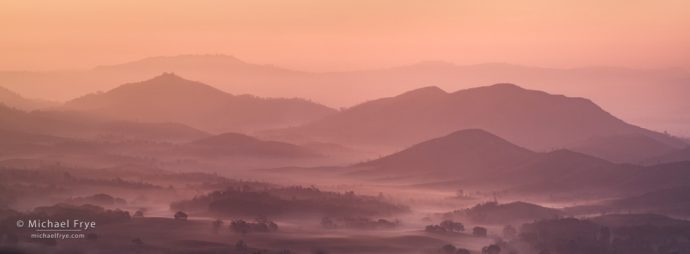 Misty morning in the Sierra Nevada foothills, CA, USA