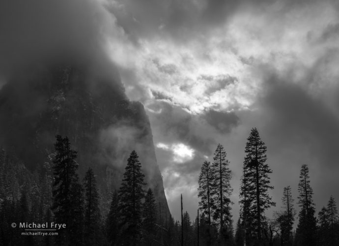 Sunbeams, trees, and Lower Cathedral Rock, Yosemite NP, CA, USA