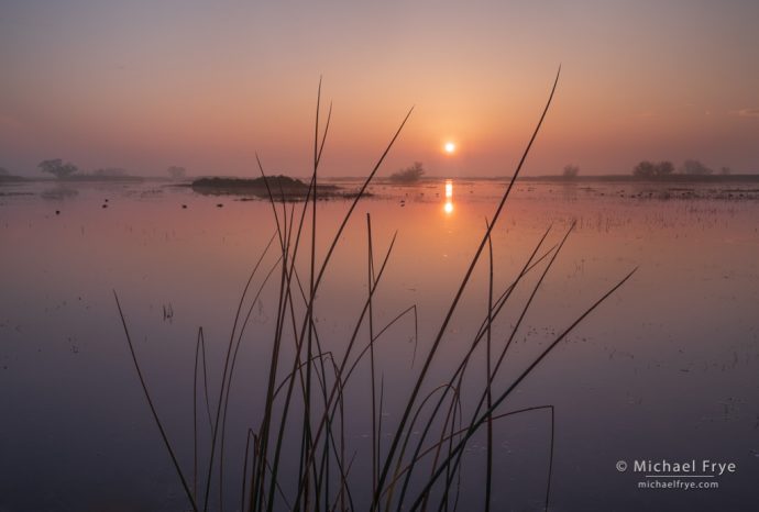 Sunrise in a San Joaquin Valley marsh, CA, USA