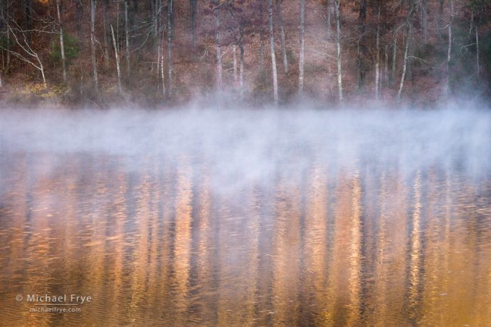 Fog and reflections, autumn, South Carolina, USA