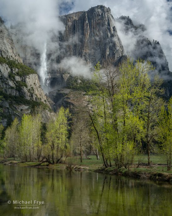 Mist, cottonwood trees, Yosemite Falls, and the Merced River, Yosemite NP, CA, USA