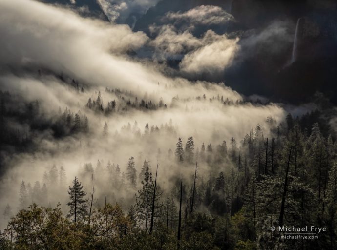 Misty Valley, Yosemite NP, CA, USA