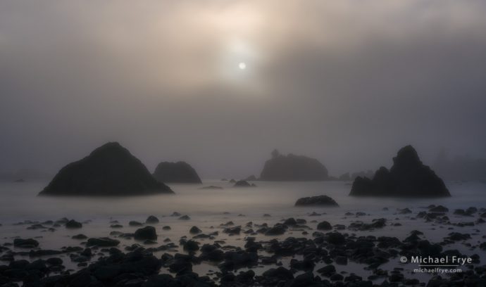 Foggy sunset along the northern California coast, USA