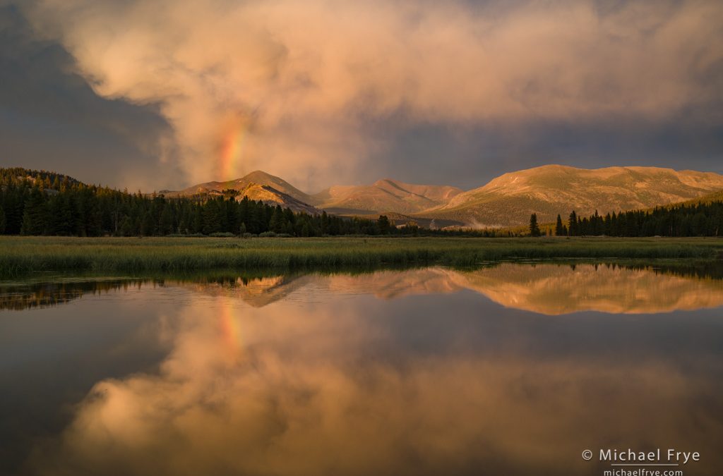Summer in the High Country