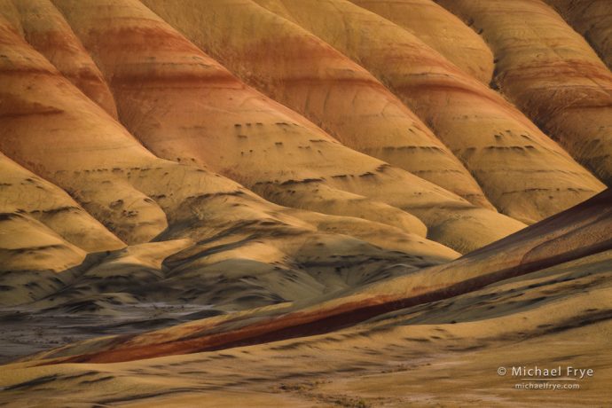 Late-afternoon light, Oregon badlands