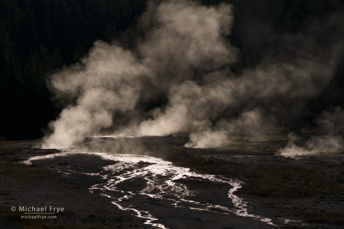 Steam and rivulets, Yellowstone NP, WY, USA
