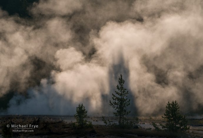 Mist with tree shadows, Yellowstone NP, WY, USA