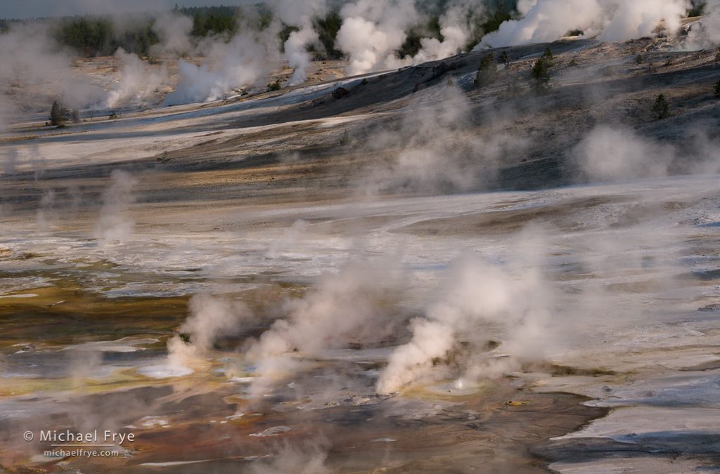 Yellowstone’s Dynamic Landscape