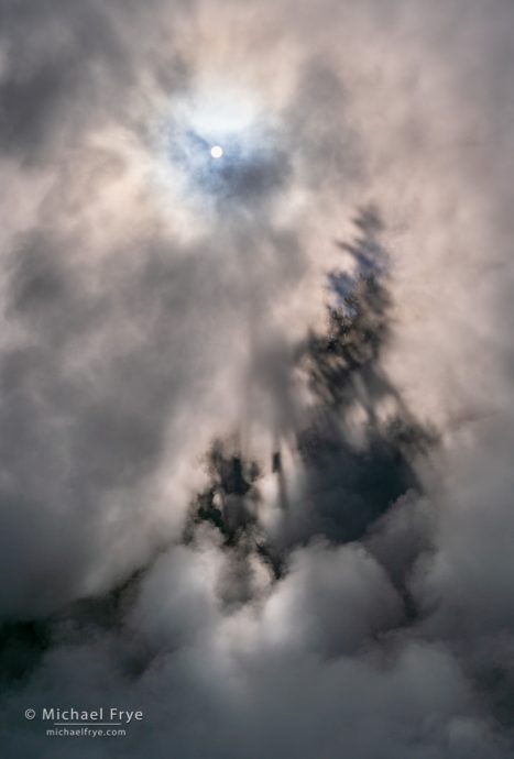 Sun, mist, and tree shadows, Yellowstone NP, WY, USA