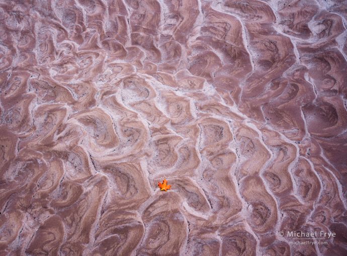 Maple leaf and sand patterns, southern Utah, USA