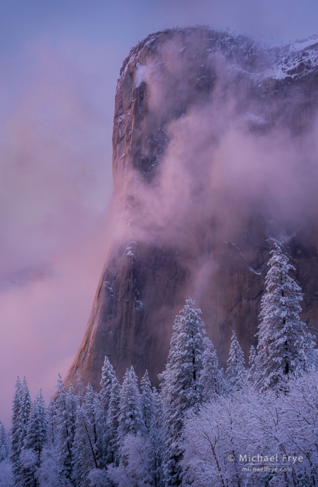 Pink light on El Capitan at sunset, Yosemite NP, CA, USA