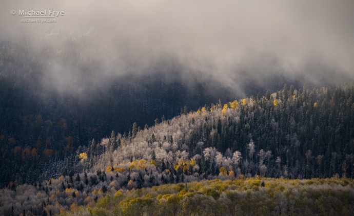 Sunlight, clouds, and frosted aspens, Colorado, USA