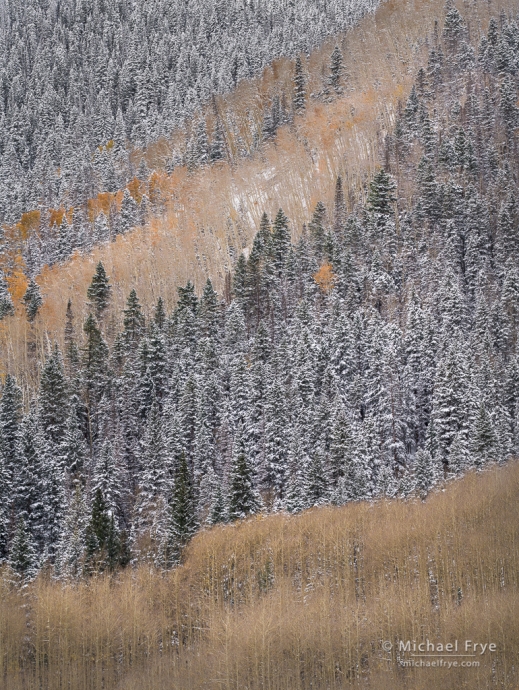 Hillside patterns, late autumn, Colorado, USA
