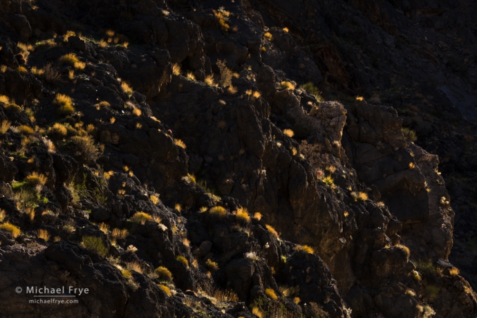 Canyon wall, Death Valley NP, CA, USA