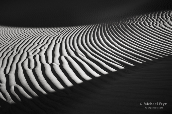 Zebra stripes, Death Valley NP, CA, USA