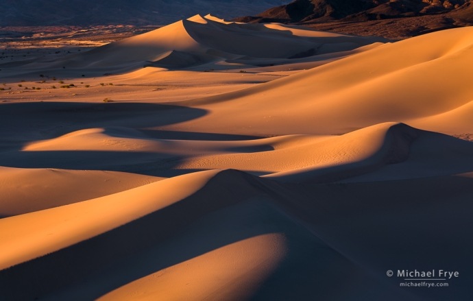 Last light on sand dunes, Death Valley NP, CA, USA