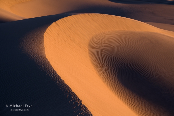 Curving dune, sunrise, Death Valley NP, CA, USA