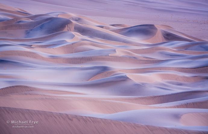 Sculptured dunes, Mojave Desert, CA, USA