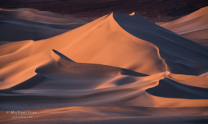 Sand dune lit by the setting sun, Mojave Desert, CA, USA