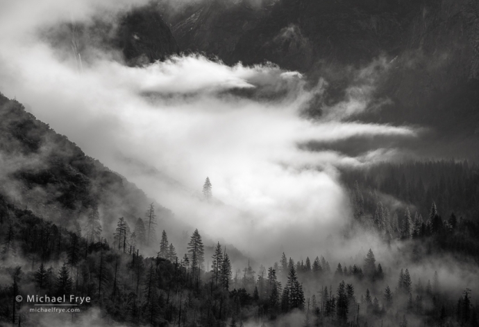 Mist and trees, Yosemite Valey, Yosemite NP, CA, USA