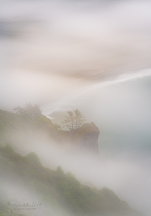 Foggy coastline, Northern California, USA