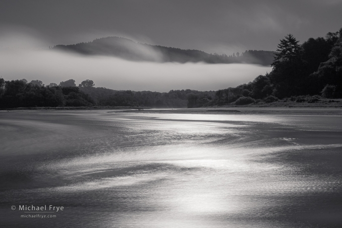 Sunlight and fog, northern California, USA