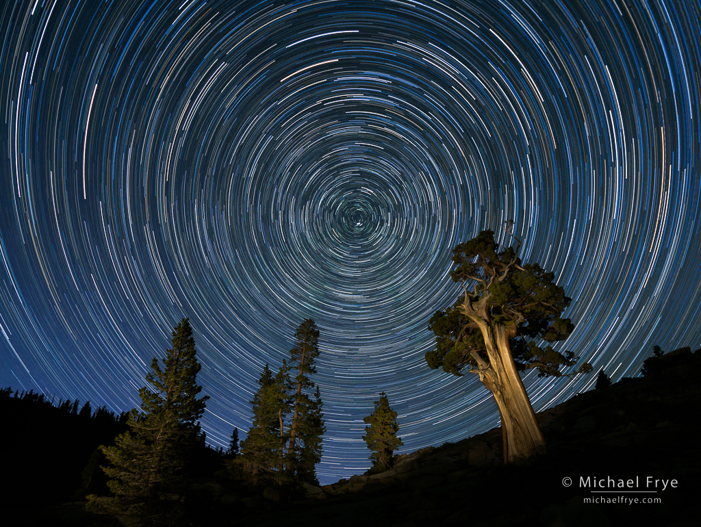 Trees and star trails in the Yosemite high country, Yosemite NP, CA, USA