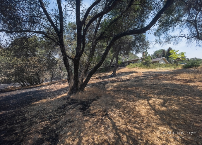 The slope below it burned, but our house is still intact.