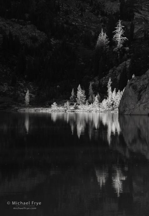 Reflexionen von sonnenbeschienenen Bäumen, Sierra Nevada, CA, USA