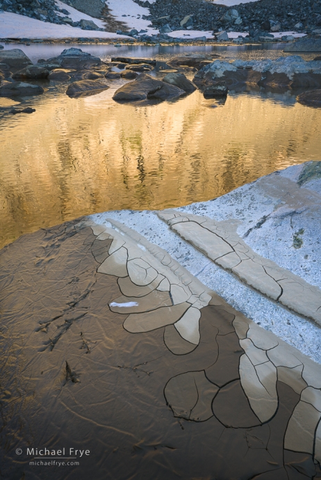 Bird tracks and mud patterns, Sierra Nevada, CA, USA