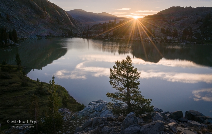 Lake and tree at sunrise, Sierra Nevada, CA, USA
