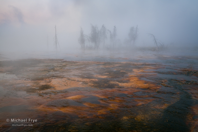 Bakterienmatten und Morgennebel, Yellowstone NP, WY, USA