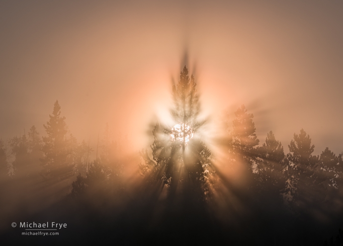 Sunbeams and corona, Yellowstone NP, WY, USA