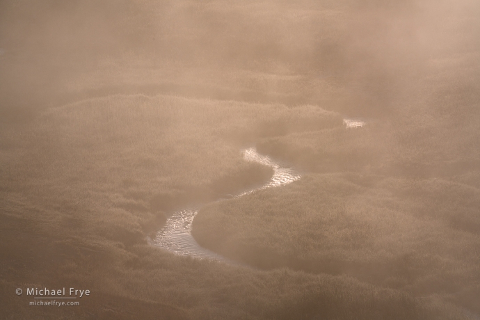 Stream in fog, Yellowstone NP, WY, USA